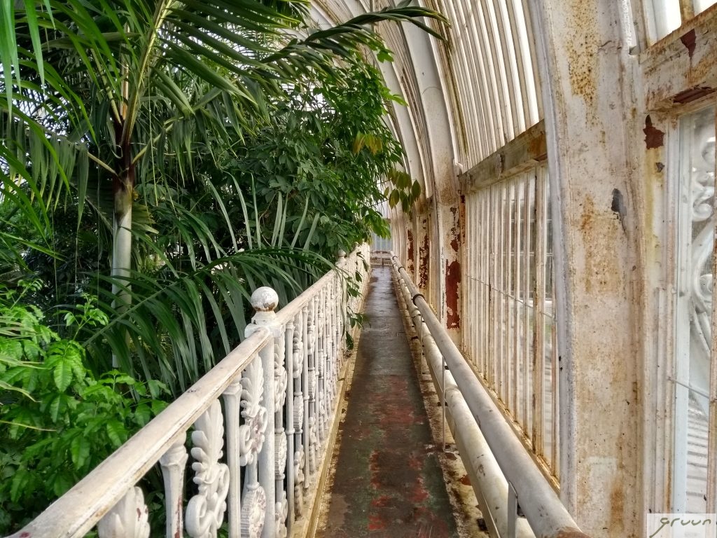 bovenverdieping palm house