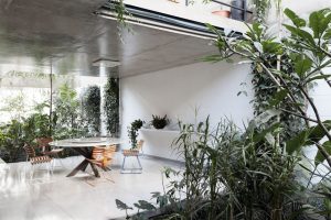Urban jungle living room