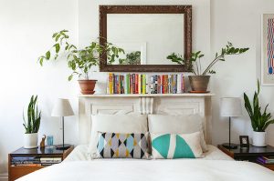 Planten in de slaapkamer - gezond of niet?