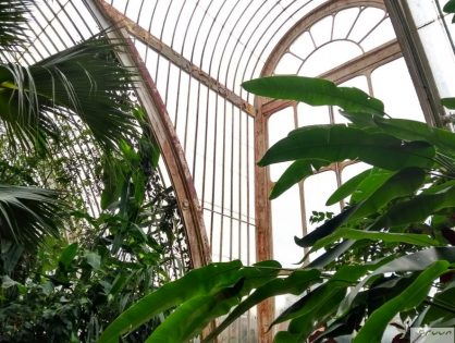 Binnenkijken in de serres van Kew Gardens, Londen