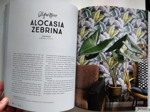 plantastic boek