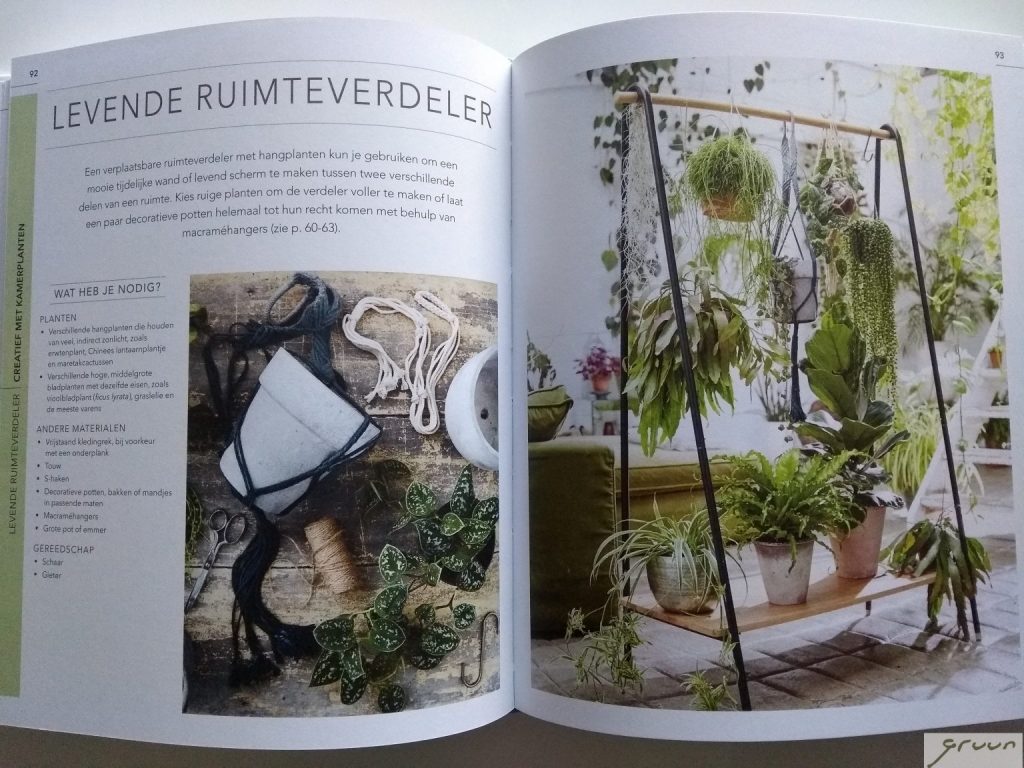 het creatieve kamerplantenboek