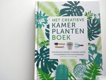 Boek review: Het creatieve kamerplantenboek