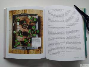 planten in huis boek binnenkant