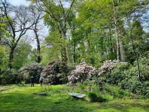 botanische tuin belgie