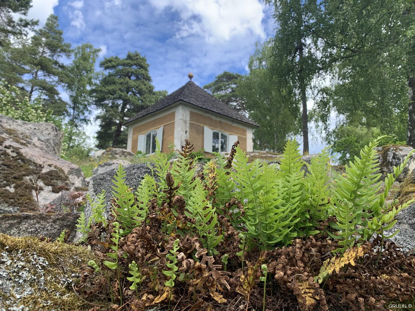 Ontdek botanisch Uppsala: in de sporen van Carl Linnaeus in Zweden