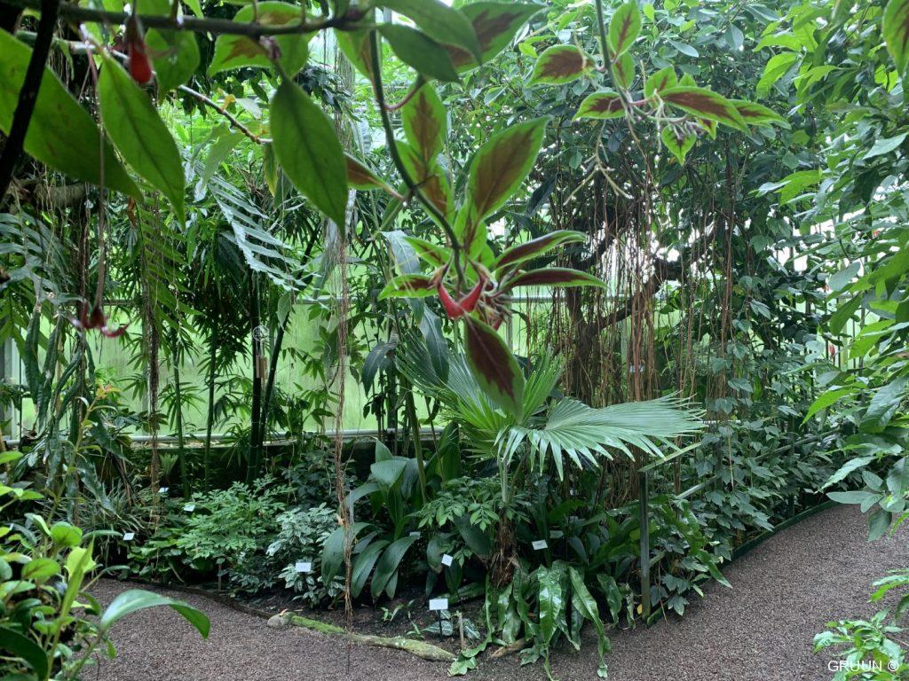 botanische tuin (c) GRUUN