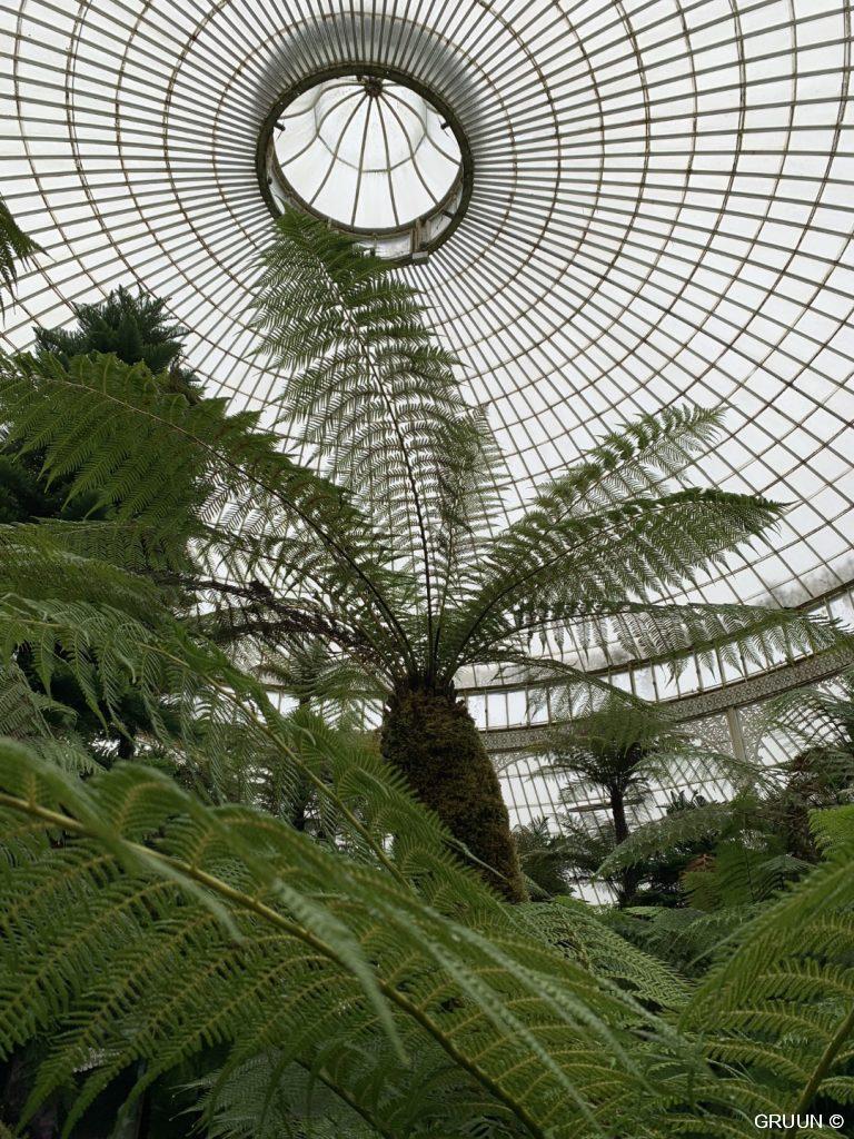 botanische tuin glasgow (c) GRUUN